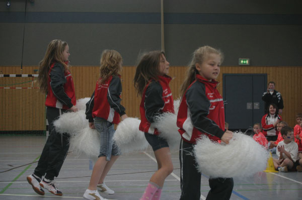 209awbsmini